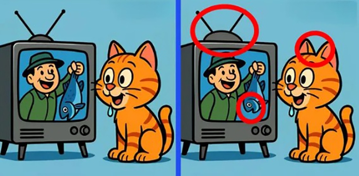 Thử tài tinh mắt - Ảnh 6.