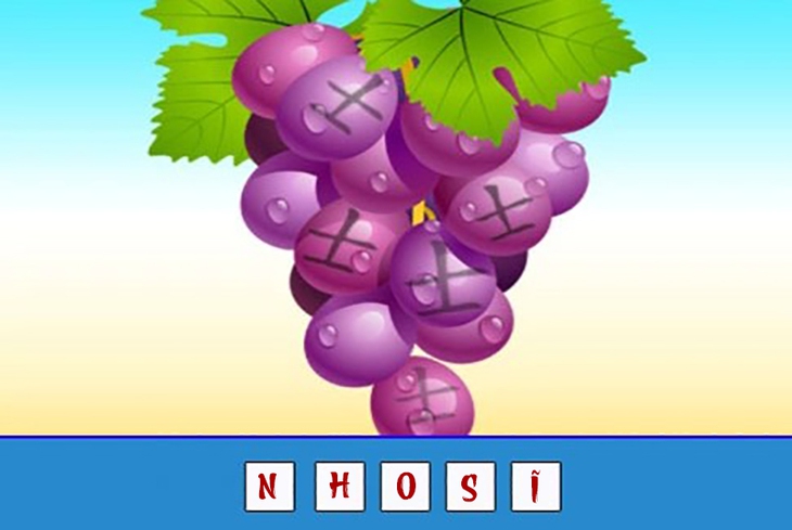 đuổi hình bắt chữ - Ảnh 4.