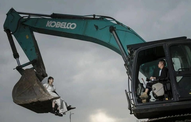 cái cây - Ảnh 2.