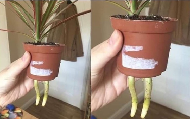 Nơi có quán bar kiểu 'nhà tù', khách đến mặc áo phạm nhân như thật - Ảnh 4.