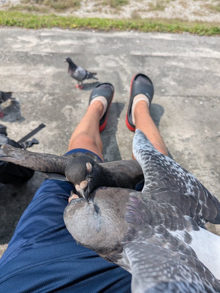 đi học - Ảnh 3.