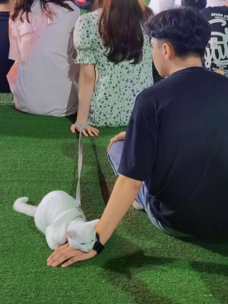 nội thất - Ảnh 5.