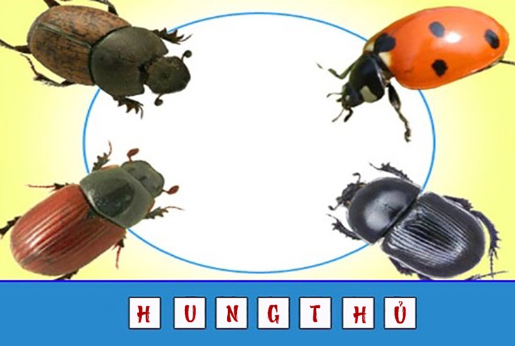 đuổi hình bắt chữ - Ảnh 2.