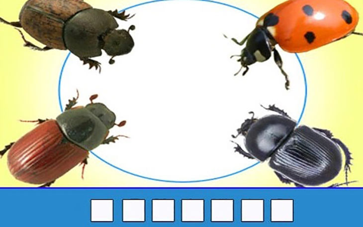 Câu tục ngữ khó nhằn này là gì? - Ảnh 3.