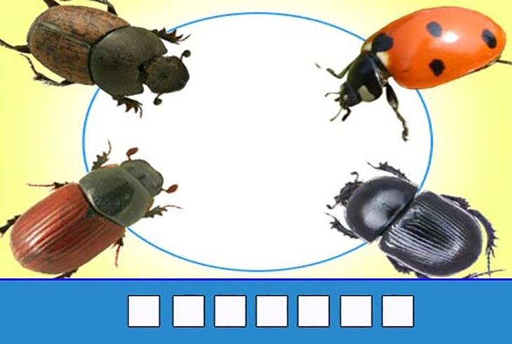 đuổi hình bắt chữ - Ảnh 1.