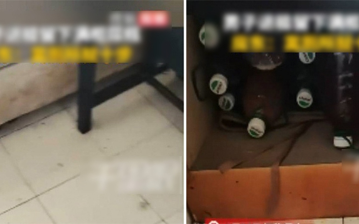 Cuộc thi 'hót như chim' để gọi... ý thức bảo tồn - Ảnh 8.