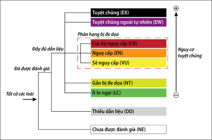 động vật sách đỏ - Ảnh 2.