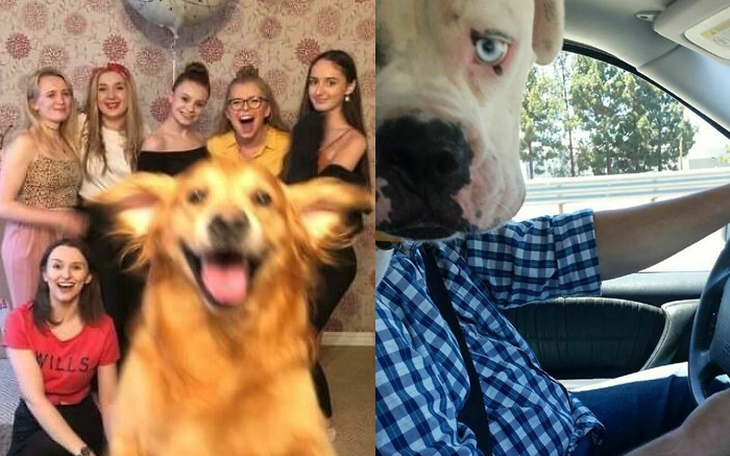 Lượt xem không tưởng của KPop Demon Hunters trên Netflix - Ảnh 3.