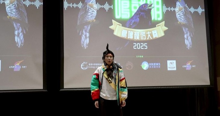 cuộc thi - Ảnh 5.