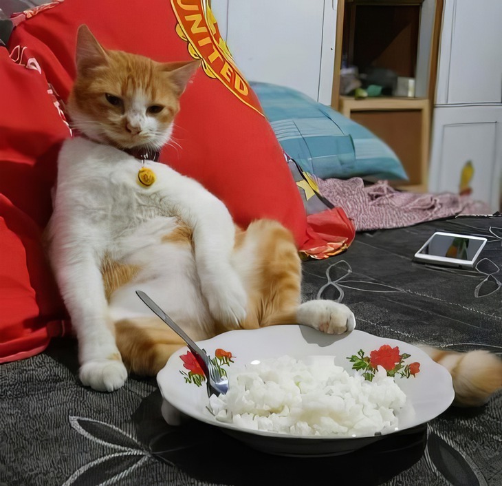 linh hồn - Ảnh 6.