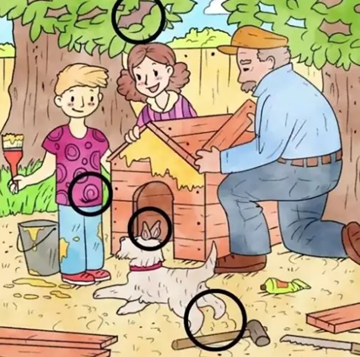 Châu chấu - Ảnh 4.