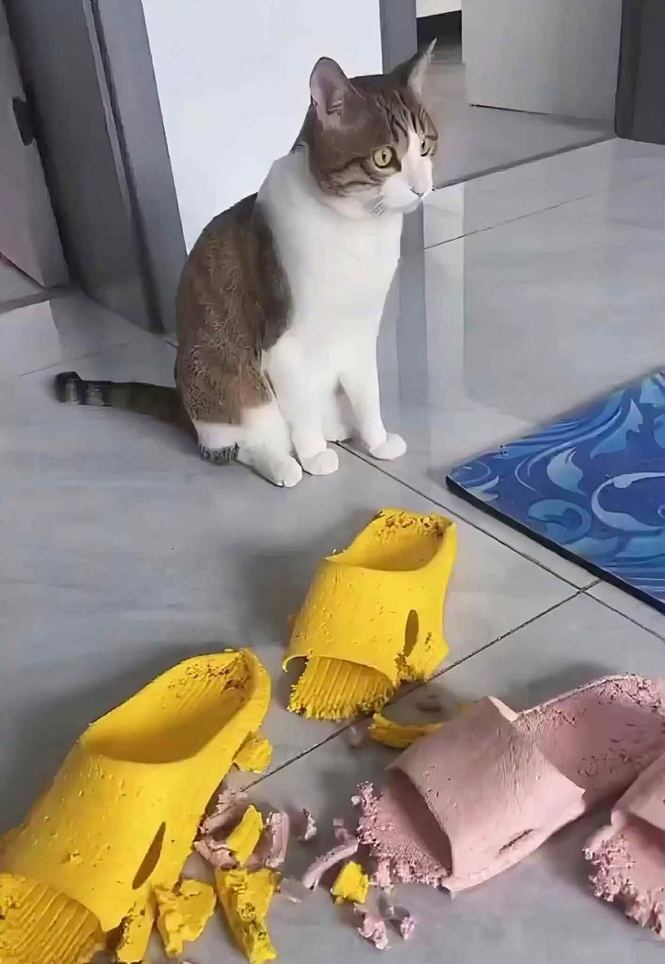 sai một ly đi một dặm - Ảnh 5.