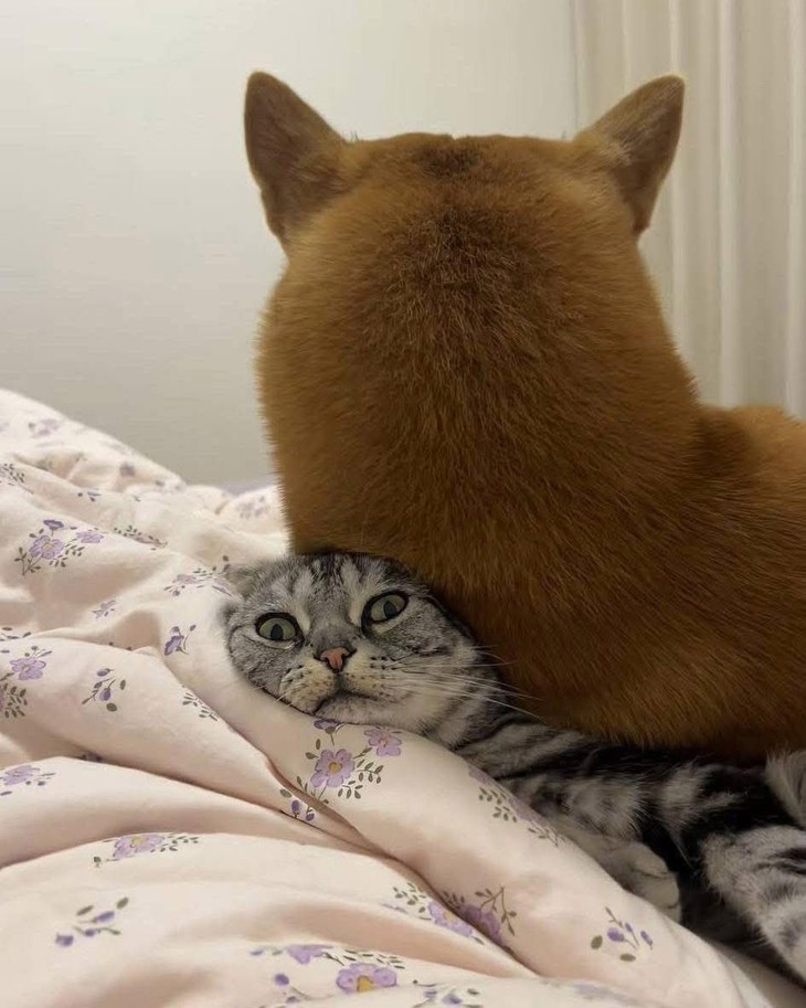 sai một ly đi một dặm - Ảnh 2.