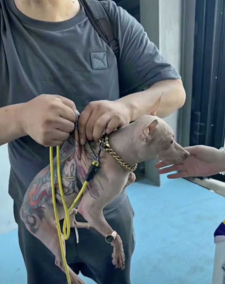 xăm trổ - Ảnh 2.