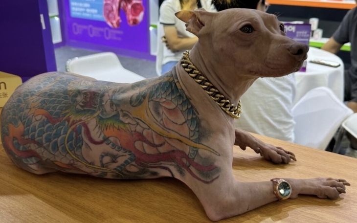 Ảnh vui 30-8: Tuy cạnh tranh nhưng lại nhìn chung một hướng - Ảnh 9.