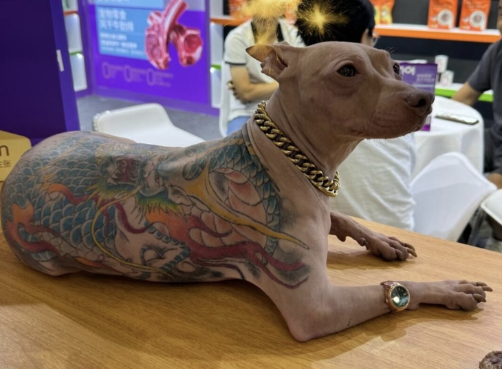 xăm trổ - Ảnh 1.