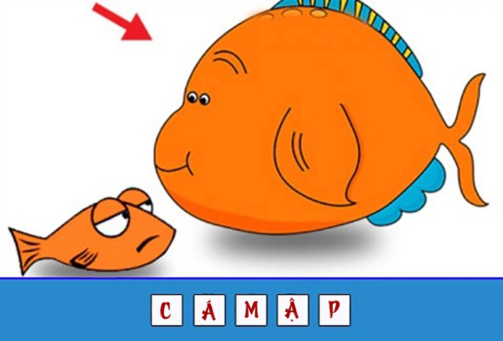 đuổi hình bắt chữ - Ảnh 4.