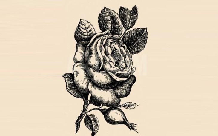 Thử tài tinh mắt: Người đàn ông thứ 2 đang ở đâu? - Ảnh 8.