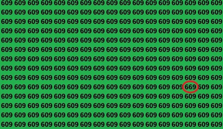 Thử tài tinh mắt - Ảnh 4.