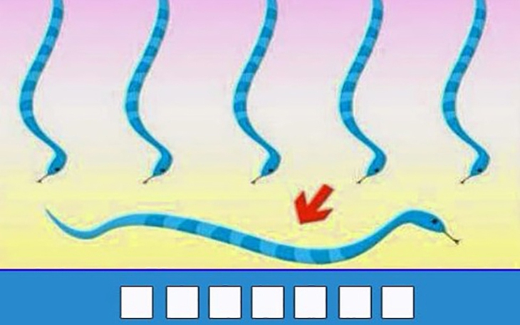 Thành ngữ quen thuộc này là gì? (P51) - Ảnh 3.