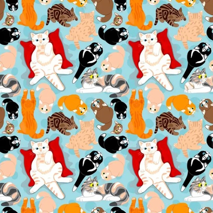 Thử tài tinh mắt - Ảnh 3.