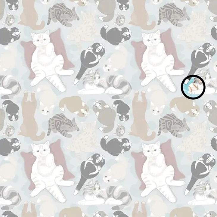 Thử tài tinh mắt - Ảnh 4.