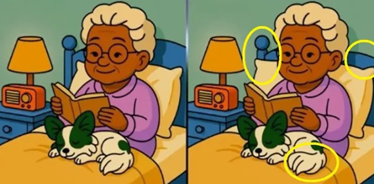 Thử tài tinh mắt - Ảnh 6.