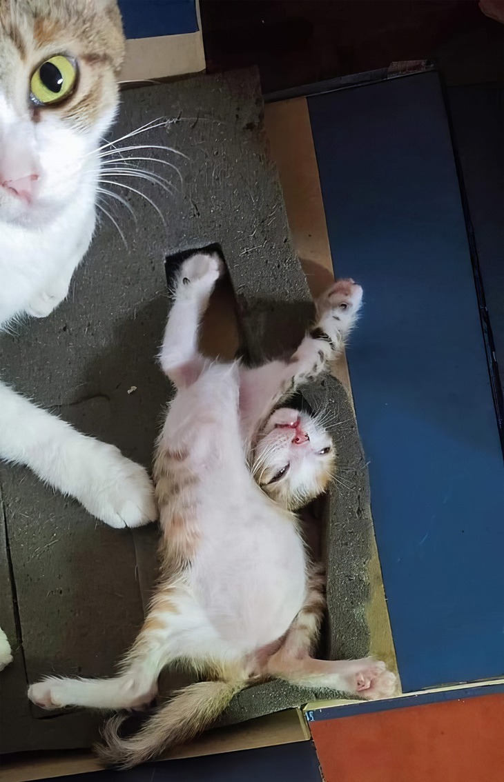 mở khóa điện thoại - Ảnh 3.