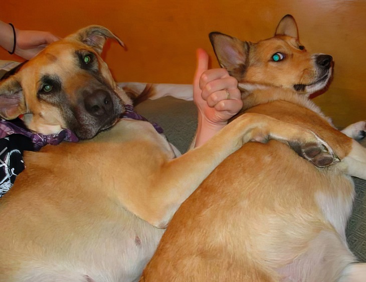 mở khóa điện thoại - Ảnh 6.