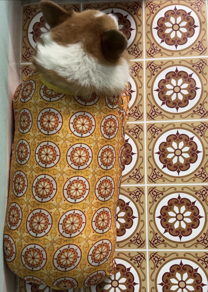 mở khóa điện thoại - Ảnh 5.