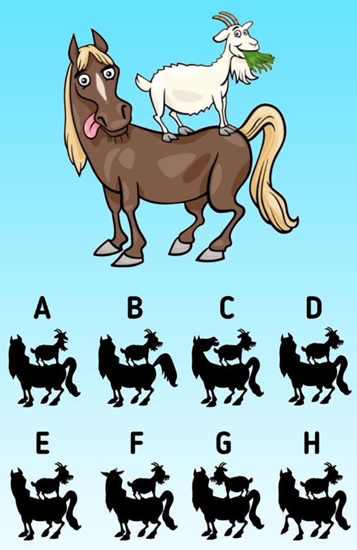 Thử tài tinh mắt - Ảnh 1.