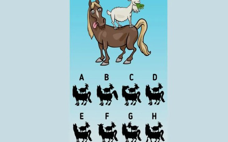 Thử tài nhanh trí với đuổi hình bắt chữ (P258) - Ảnh 5.