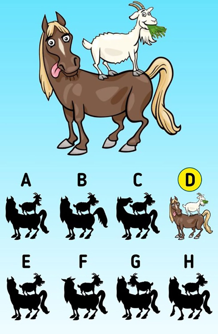 Thử tài tinh mắt - Ảnh 2.