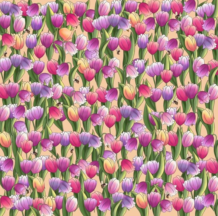 Thử tài tinh mắt - Ảnh 3.