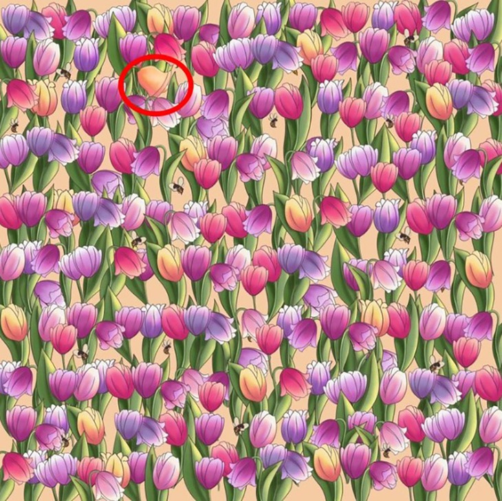 Thử tài tinh mắt - Ảnh 4.