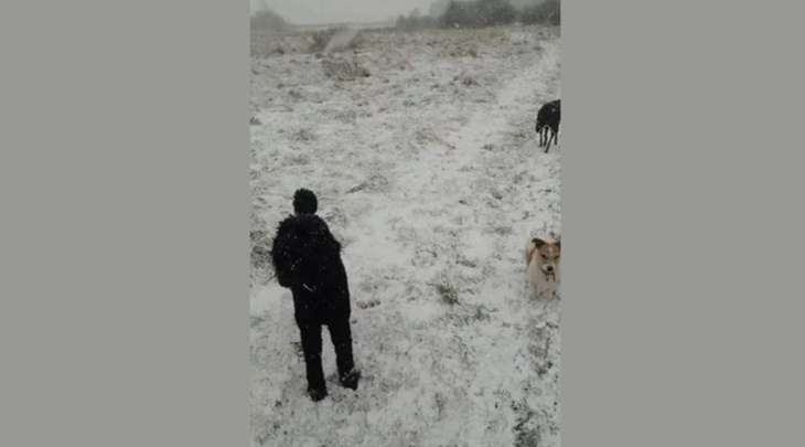 Thử tài tinh mắt - Ảnh 1.