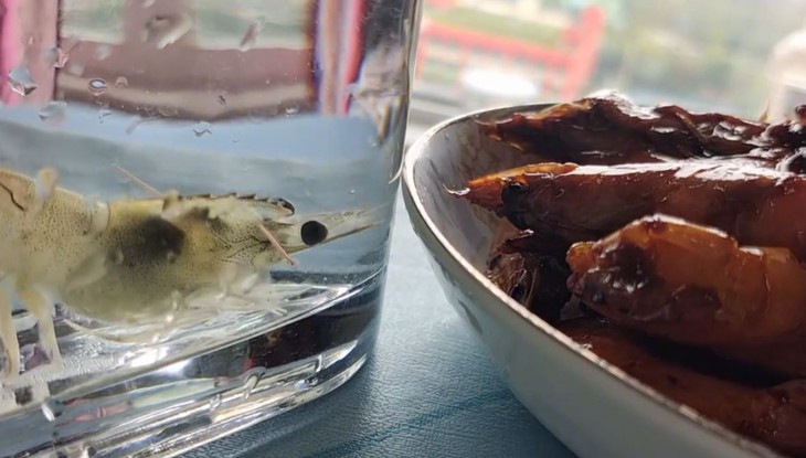 team building - Ảnh 2.