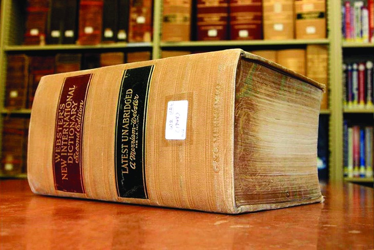 Từ điển sách - Ảnh 1.