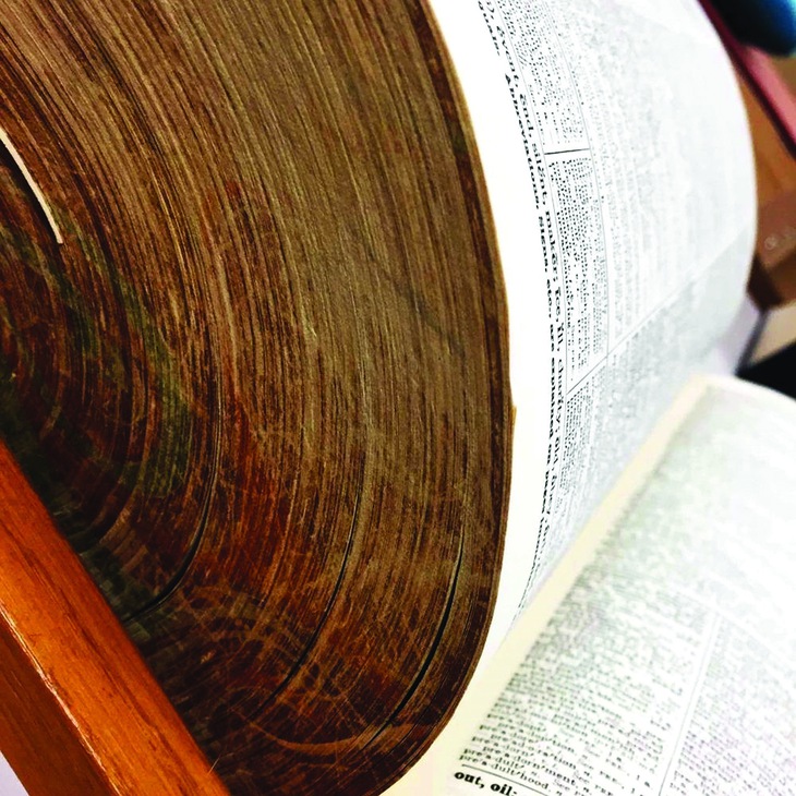 Từ điển sách - Ảnh 3.