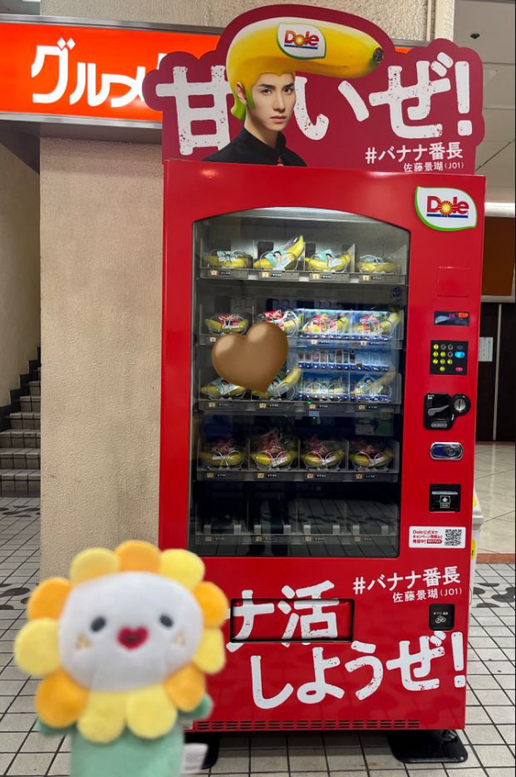 tự động - Ảnh 1.