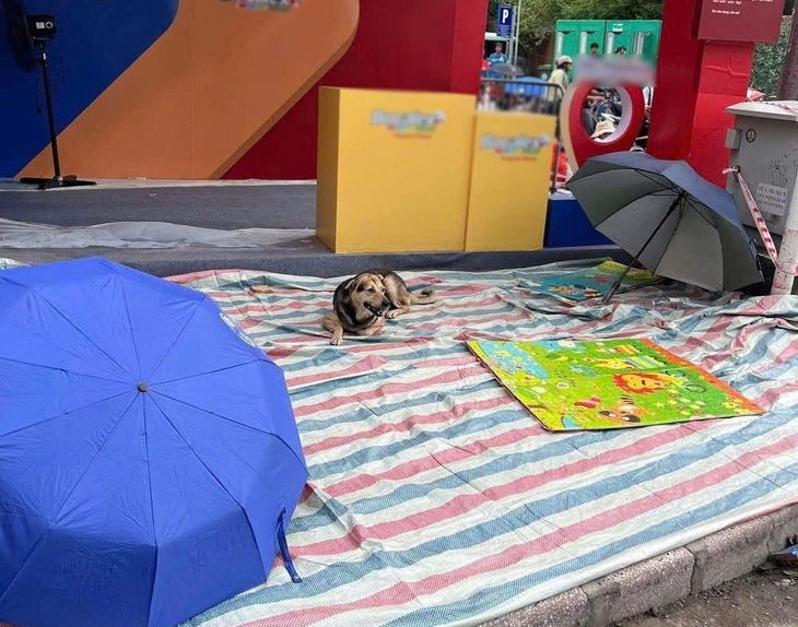 xí chỗ - Ảnh 1.