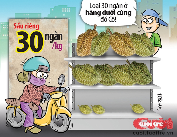 Sự thật sầu riêng 30 ngàn/ký - Ảnh 1.