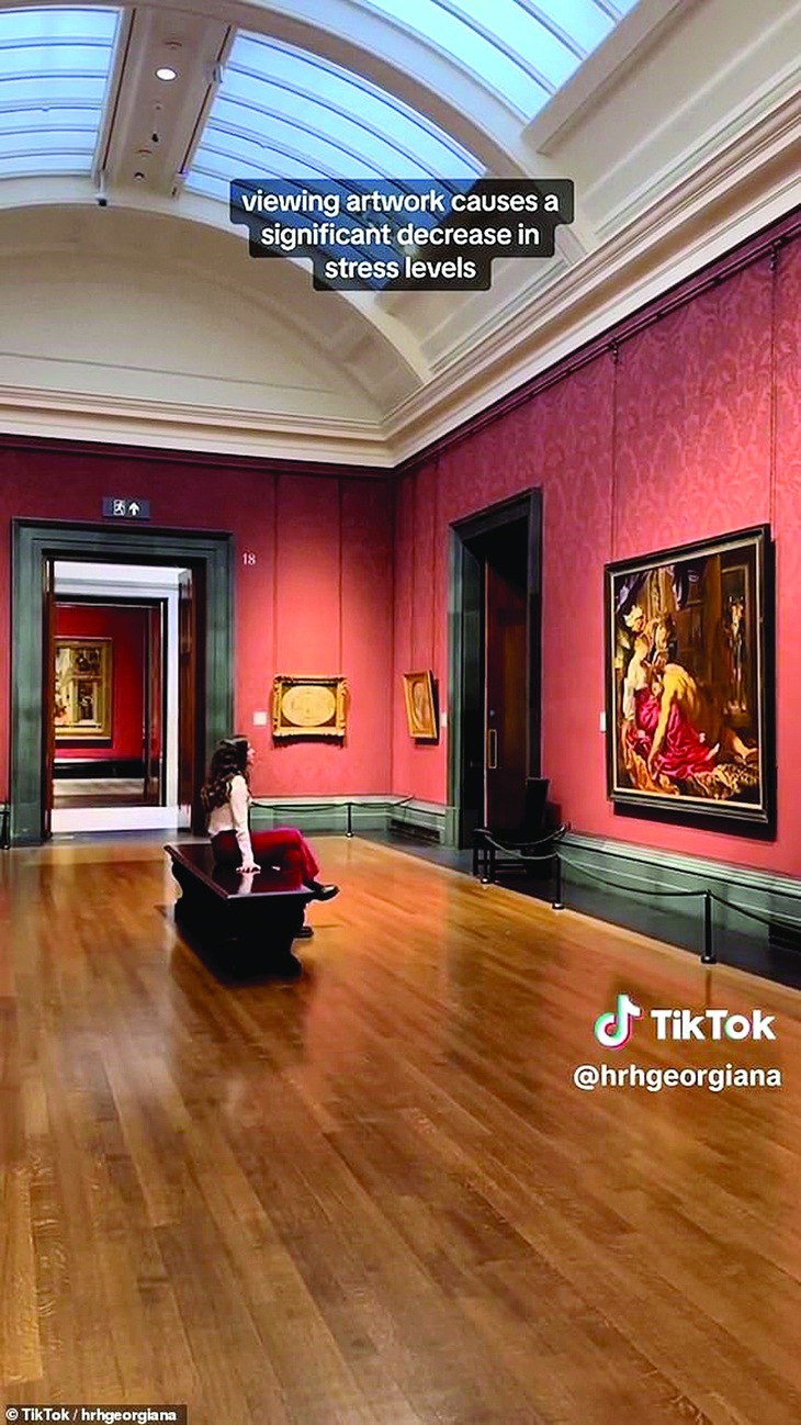 Bảo tàng  nghệ thuật - Ảnh 2.