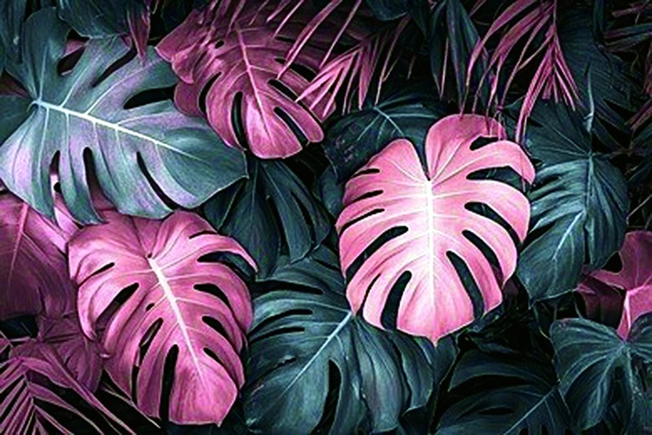 trí tuệ AI - Ảnh 1.