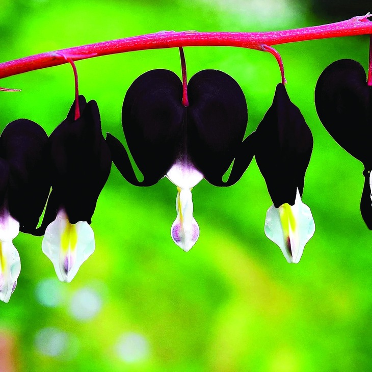 trí tuệ AI - Ảnh 2.