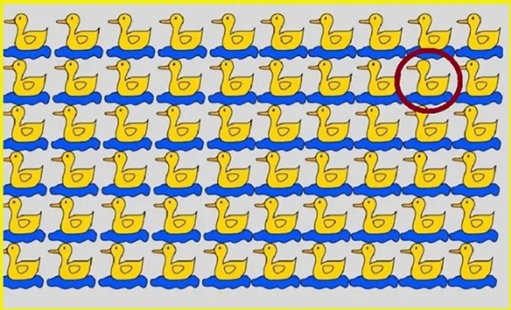 tinh mắt - Ảnh 4.