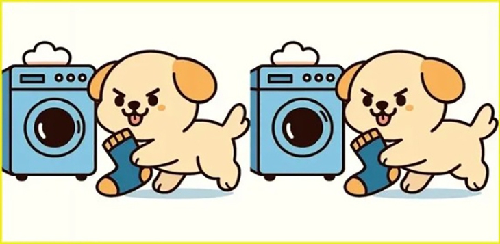 tinh mắt - Ảnh 5.