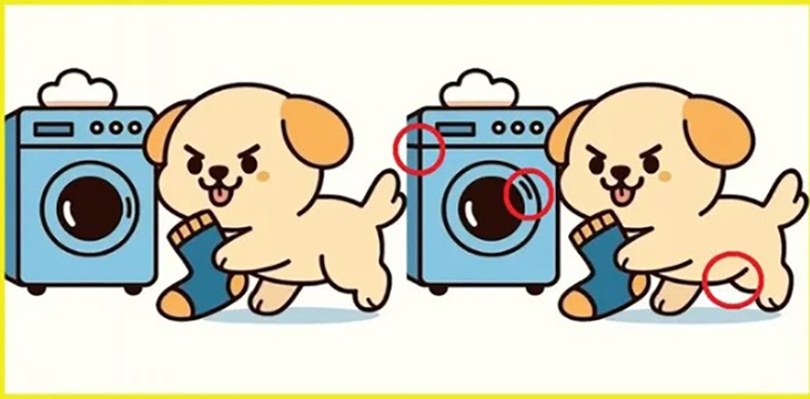 tinh mắt - Ảnh 6.