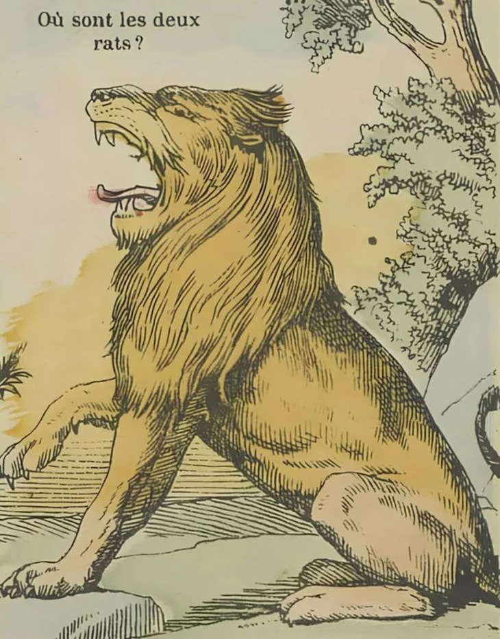 con chuột - Ảnh 1.