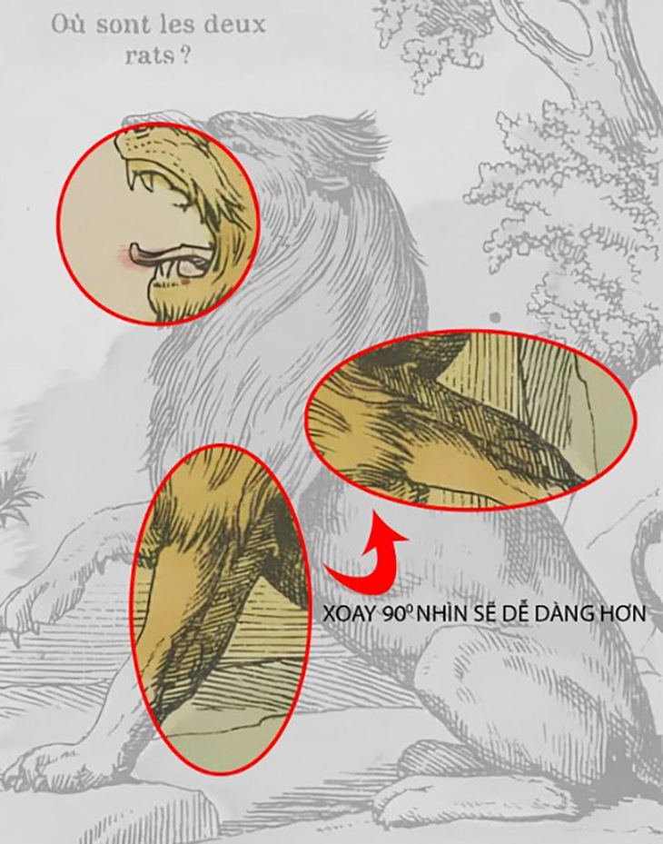 con chuột - Ảnh 2.